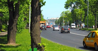 Посадка деревьев и кустарников в Слободской — стоимость от 1237 руб.